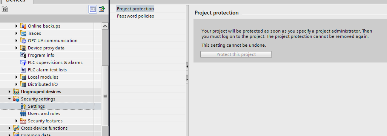 project protection settings